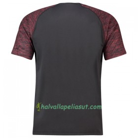 Jalkapallo Pelipaidat Arsenal Maalivahti Kotipaita 2018-2019 Lyhythihainen